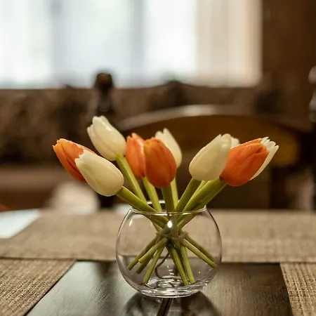 Διαμέρισμα Alex