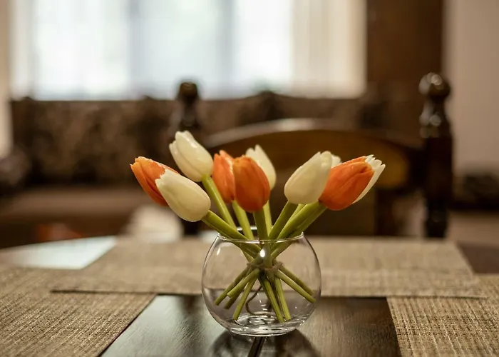 Διαμέρισμα Alex