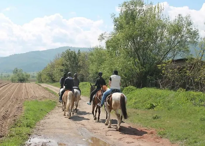 Διαμέρισμα Alex *