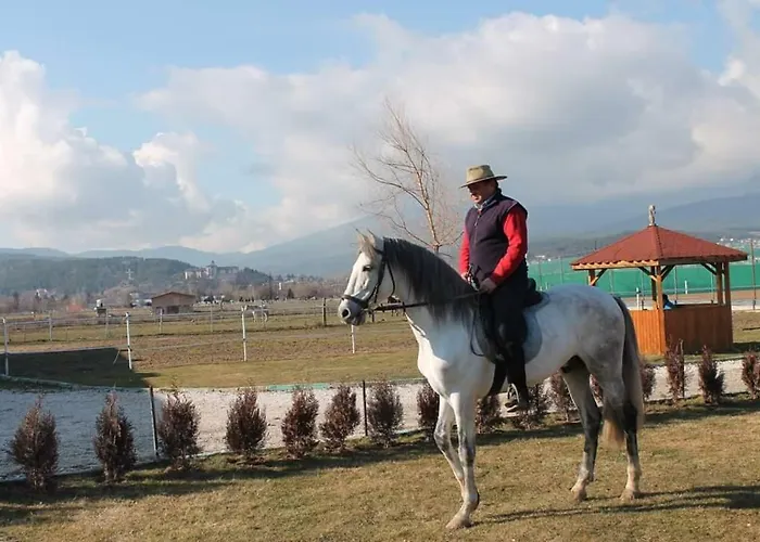 Alex Βέλινγκραντ