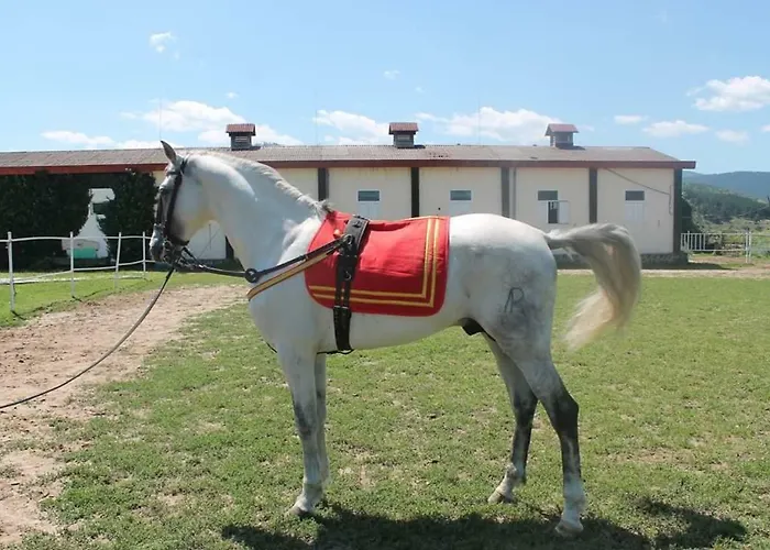 Alex Διαμέρισμα Βέλινγκραντ