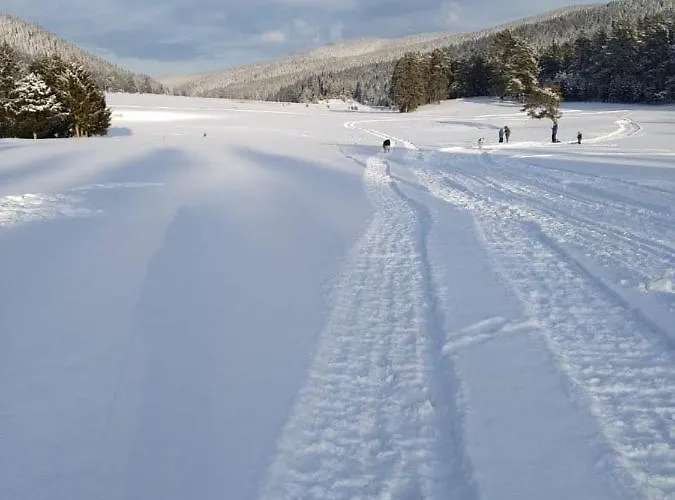 Alex Βέλινγκραντ