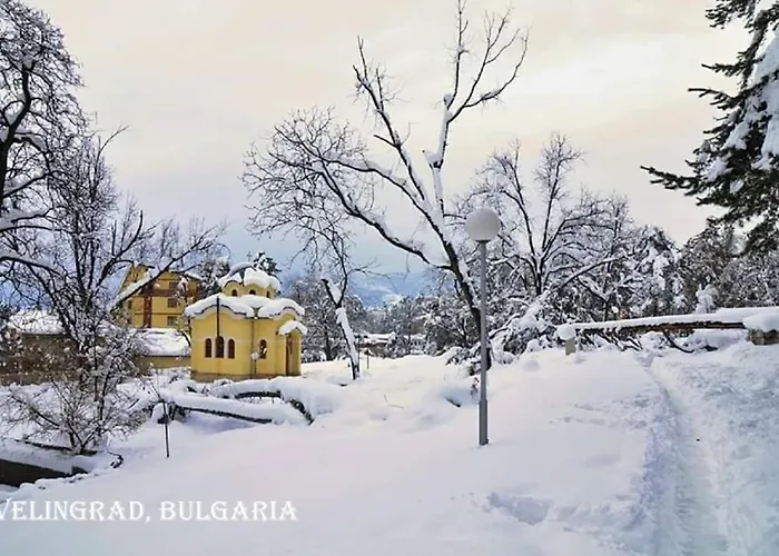 Alex Βέλινγκραντ
